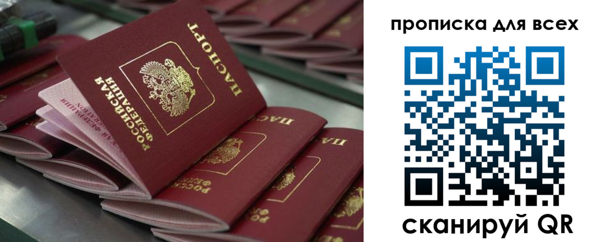 найти адрес прописки в Ярославле